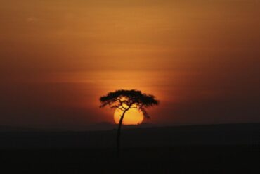 Dj Paul Joseph - Ancestors, Afro House at it's best.