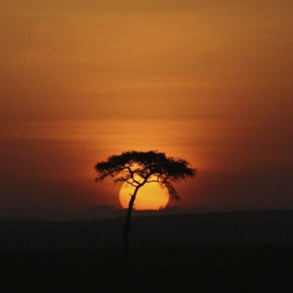 Dj Paul Joseph - Ancestors, Afro House at it's best.