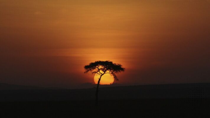 Dj Paul Joseph - Ancestors, Afro House at it's best.