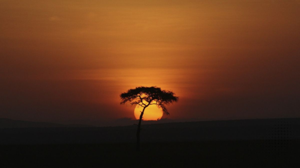 Dj Paul Joseph - Ancestors, Afro House at it's best.