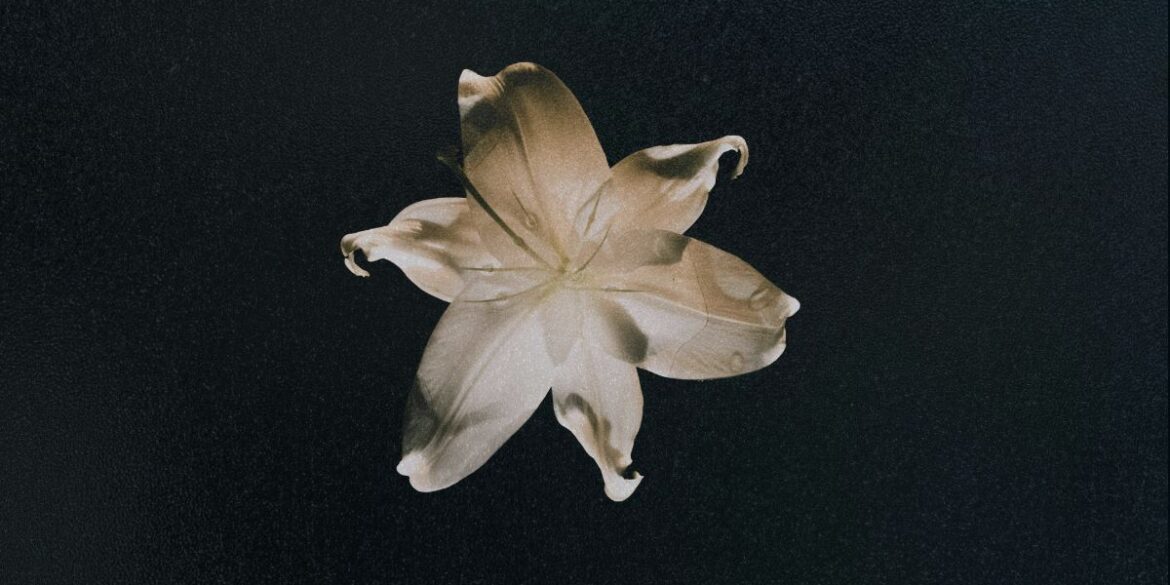 Yves Eaux & Glorionix release their track, Sway.