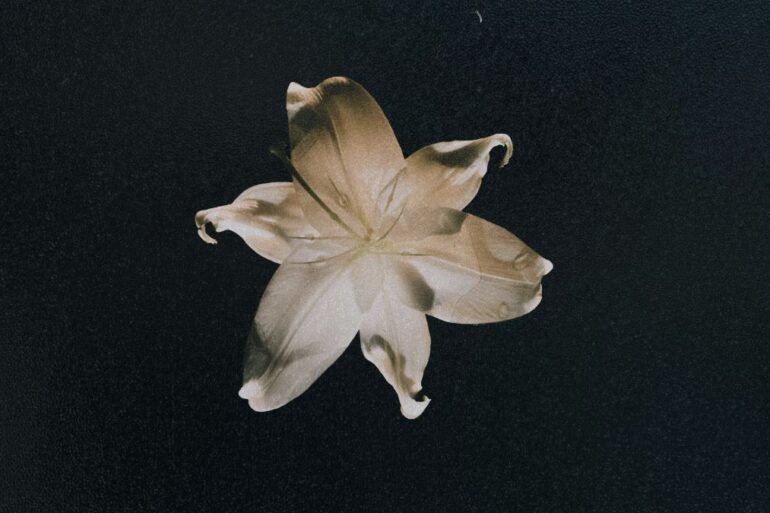 Yves Eaux & Glorionix release their track, Sway.